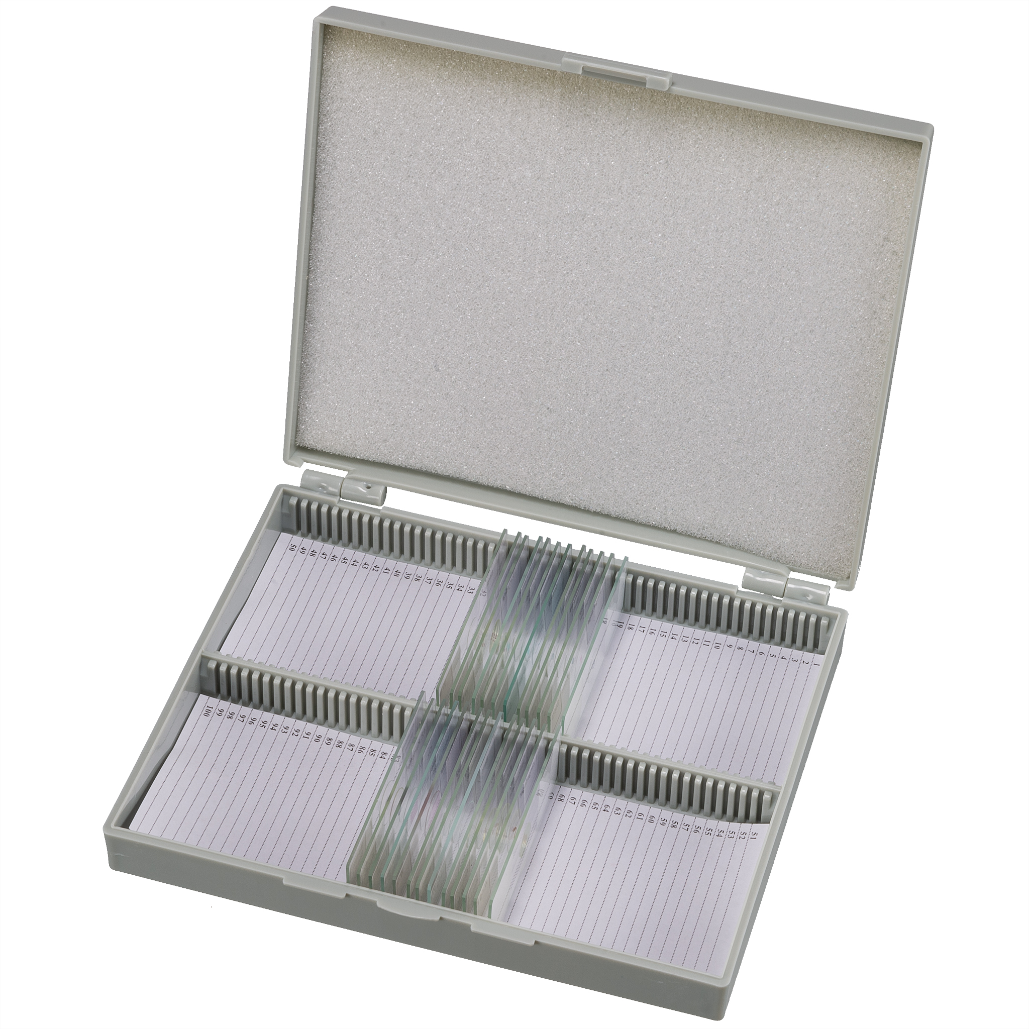 BRESSER Dauerpräparate Set mit 25 vorgefertigten und gefärbten Präparaten