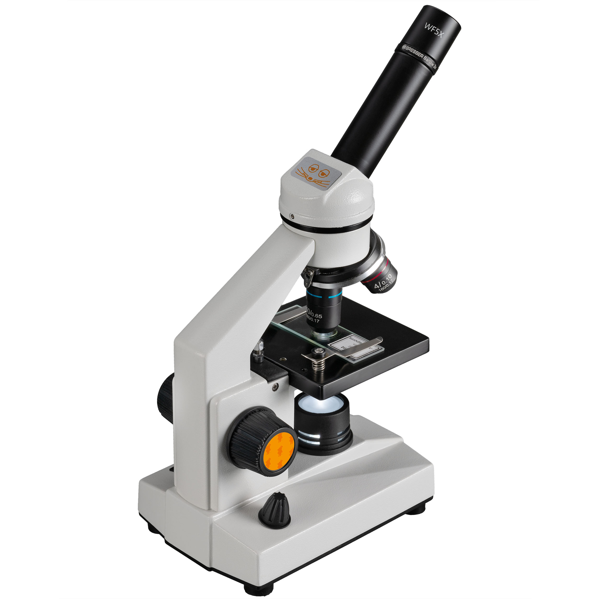Die Maus Biolux Mikroskop 