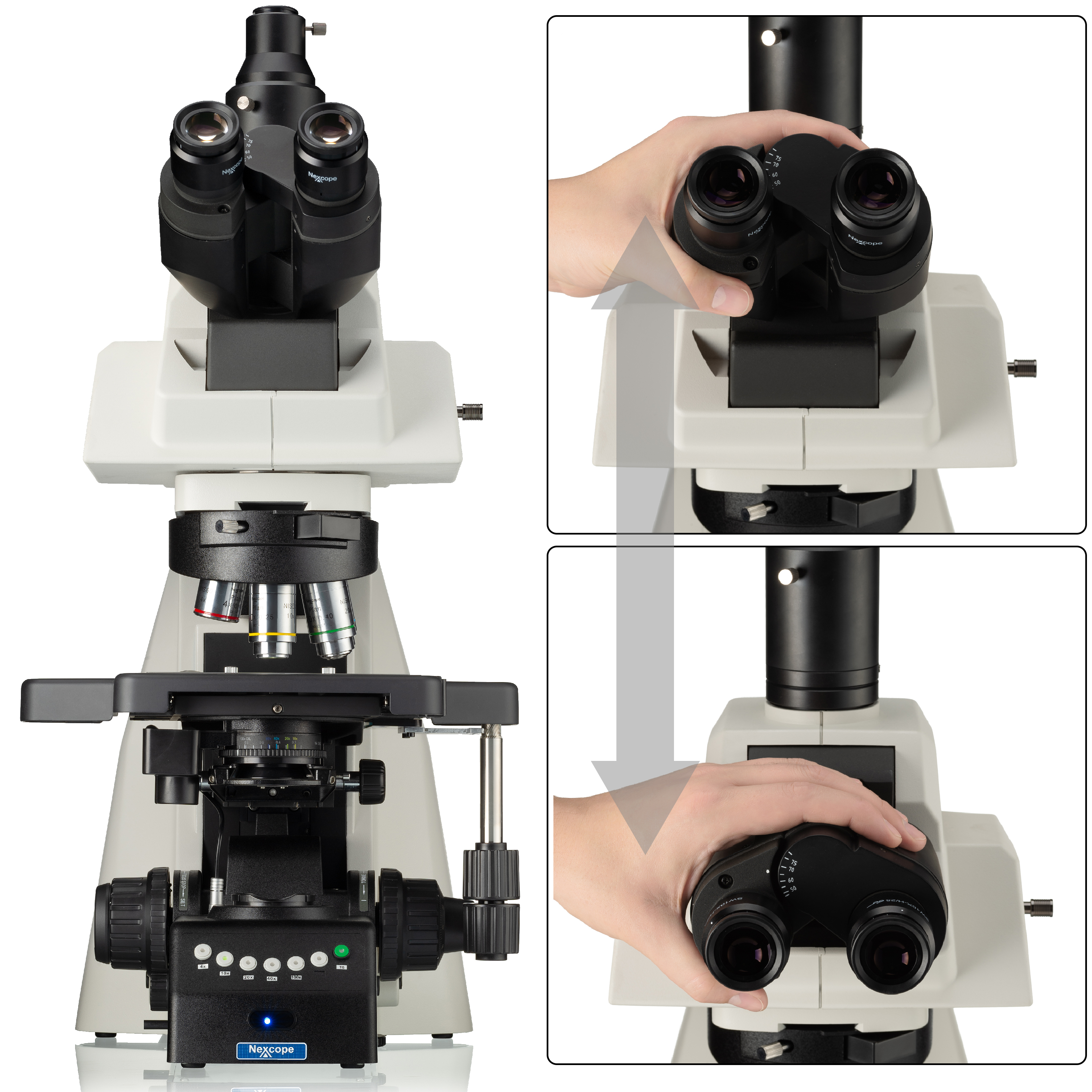 Nexcope NE930 professionelles Labormikroskop mit motorisiertem 6-fach Objektivrevolver