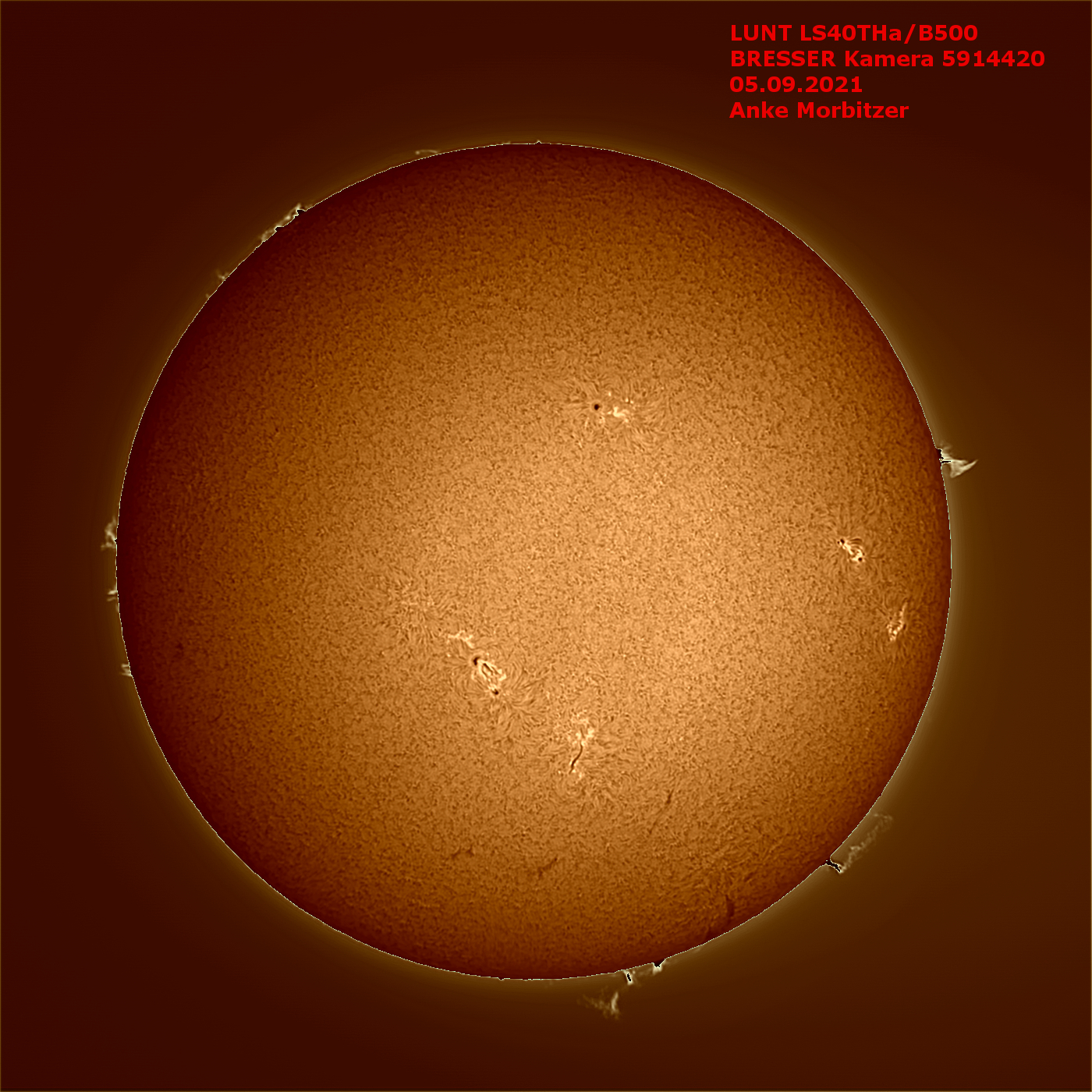 LUNT LS40THa/B1200 H-Alpha Sonnenteleskop