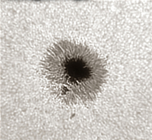 LUNT LS1.25HW 31,7mm (1,25'') Herschel-Keil